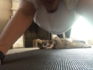 Woman on yoga mat trying to stretch while her cat lies beneath her